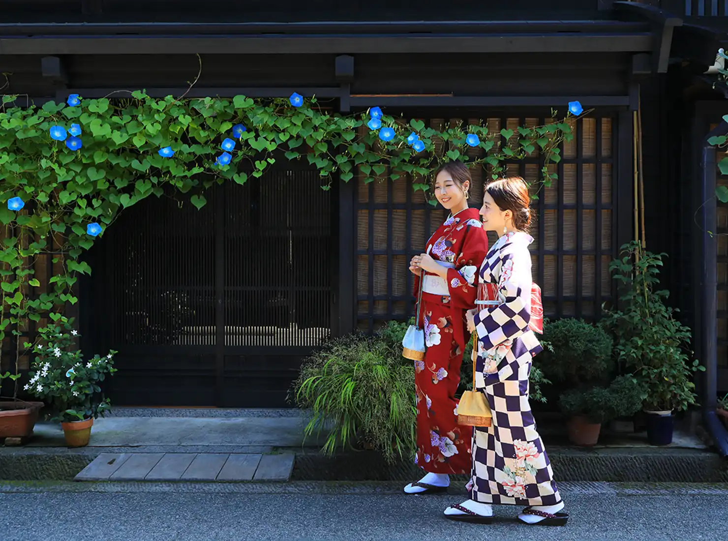 周辺観光イメージ